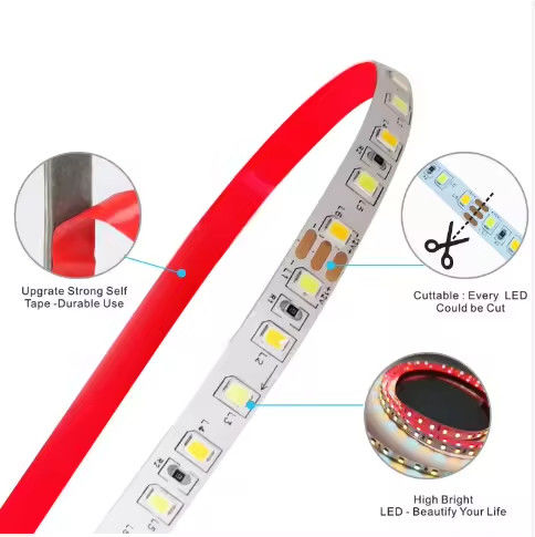 Fabryczna sprzedaż Dwukolorowe światło LED CCT 24v Temperatura kolorowa regulowana 120led 12v światło 2835 LED Dekoracja