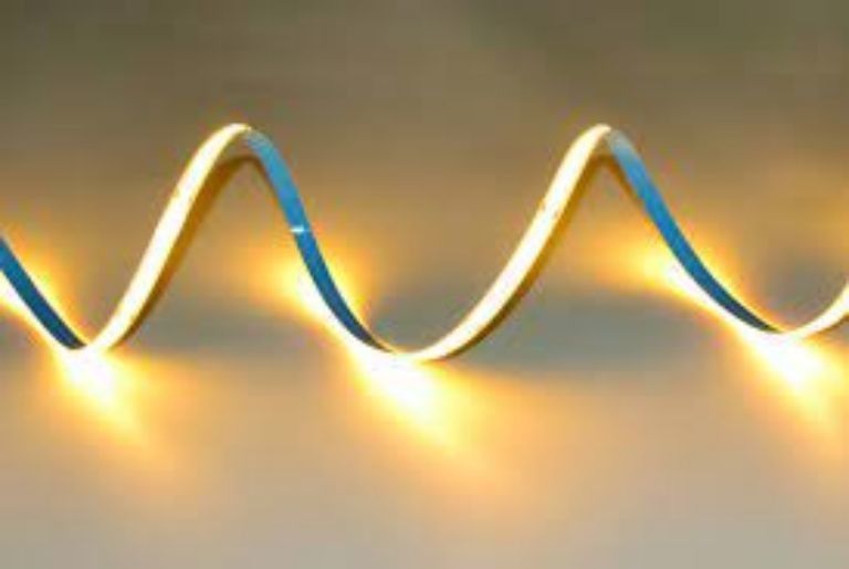 320LED/m LED COB Flexible Strip DC24V 12V 5m 10W dla oświetlenia krajobrazowego -25 50C CRI 90