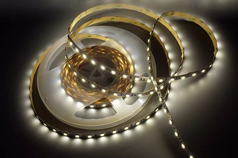 12w 12v 24v 10mm 60 Leds Rgb 5050 Smd Flexible Led Strip Light z wielobarwnymi