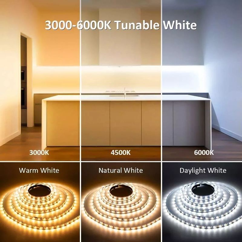 Oświetlenie krajobrazowe 5m 10m 12v 24v 220v Rgbw Cob Light Strip